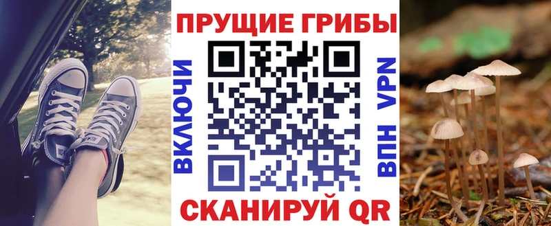 Купить закладки  Стрежевой  Галлюциногенные грибы мицелий 